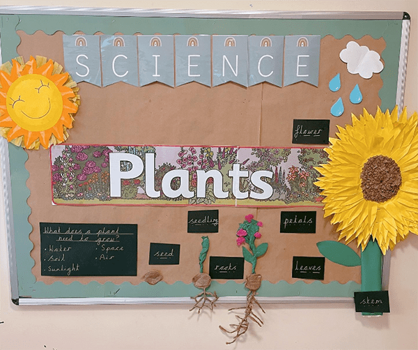 Science Display board from teachingdiaries_ Instagram